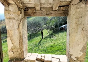 Terreno - Rustic via Tufi, 8, Cupramontana - photo 8