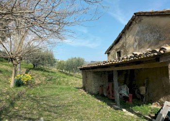 Terreno - Rustic via Tufi, 8, Cupramontana - photo 14