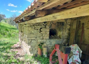 Terreno - Rustic via Tufi, 8, Cupramontana - photo 17