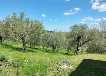 Terreno - Rustic via Tufi, 8, Cupramontana - photo 20