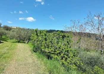 Terreno - Rustic via Tufi, 8, Cupramontana - photo 22