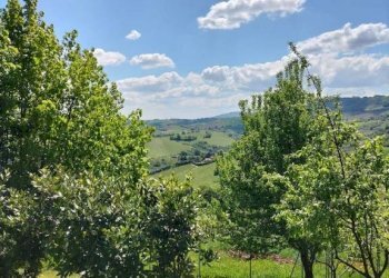 Terreno - Rustic via Tufi, 8, Cupramontana - photo 23