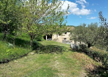 Terreno - Rustic via Tufi, 8, Cupramontana - photo 24