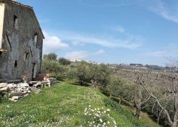 Terreno - Rustic via Tufi, 8, Cupramontana - photo 27