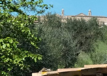 Vista - Rustic via Tufi, 8, Cupramontana - photo 29