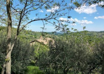 Terreno - Rustic via Tufi, 8, Cupramontana - photo 30