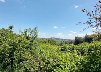 Terreno - Rustic via Tufi, 8, Cupramontana - photo 31