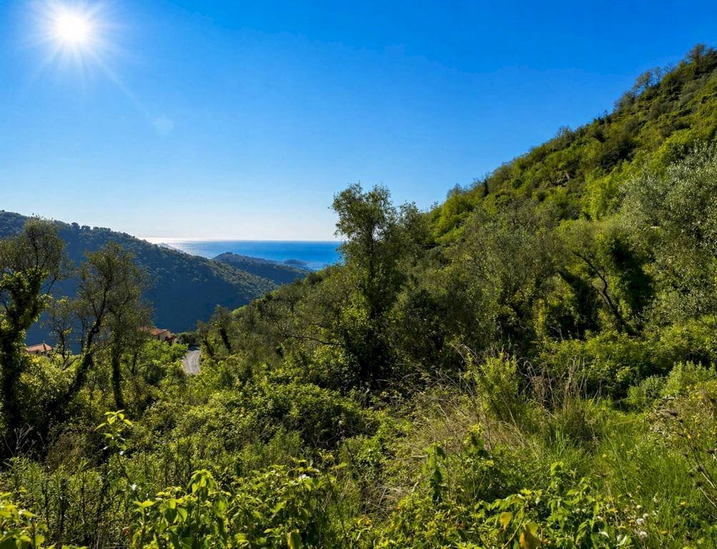 Vista - Rustico strada Provinciale Sud, Ceriana - foto 1