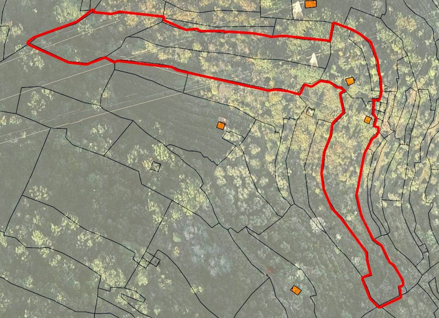 Rustico strada Provinciale Sud, Ceriana - planimetria 1