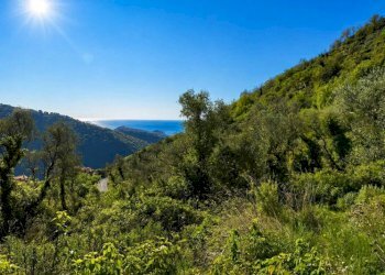 Vista - Rustico strada Provinciale Sud, Ceriana - foto 1