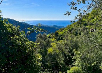 Vista - Rustico strada Provinciale Sud, Ceriana - foto 11
