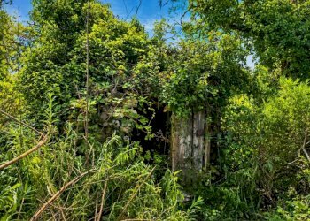 Terreno - Rustico strada Provinciale Sud, Ceriana - foto 12