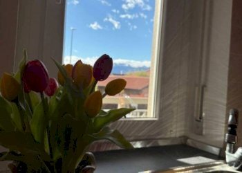 Cucina - Two-room apartment via Villa Cristina, 9, Collegno - photo 8