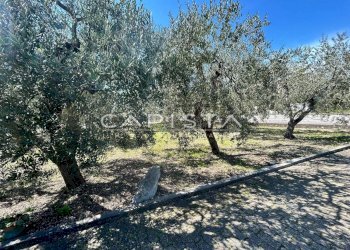 Foto 34 - Villa Contrada ALBORETO, Ortona - foto 34