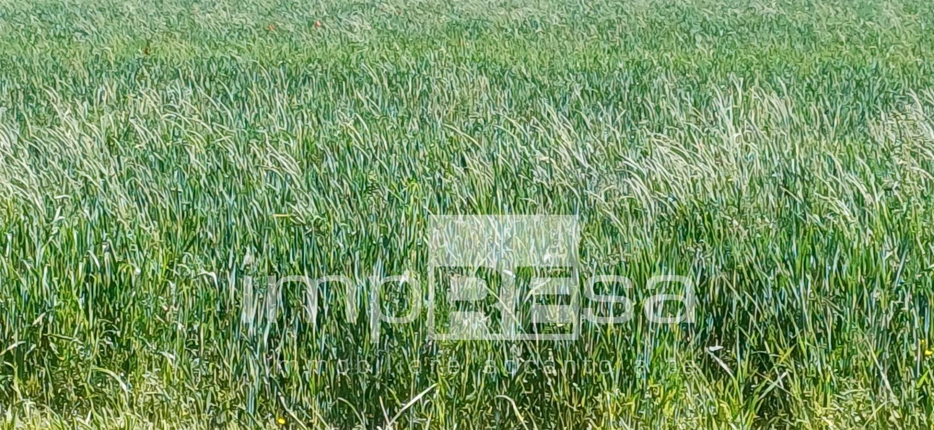 Foto 3 - Building land Via Pantiera, Roncade - photo 3