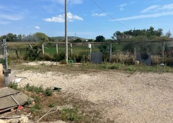 Foto 3 - Capannone VIA RIPOLI, Corropoli - foto 3