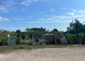 Foto 4 - Capannone VIA RIPOLI, Corropoli - foto 4