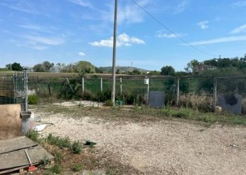 Foto 5 - Capannone VIA RIPOLI, Corropoli - foto 5