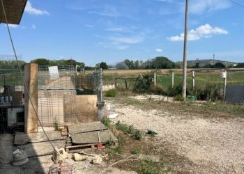 Foto 6 - Capannone VIA RIPOLI, Corropoli - foto 6