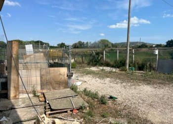 Foto 7 - Capannone VIA RIPOLI, Corropoli - foto 7