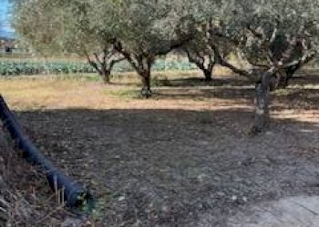 Foto 14 - Rustic VIA DEL VECCHIO FORTE, Alba Adriatica - photo 14