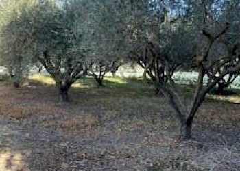 Foto 15 - Rustic VIA DEL VECCHIO FORTE, Alba Adriatica - photo 15