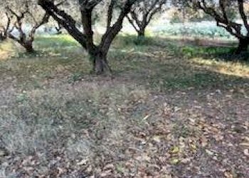 Foto 16 - Rustic VIA DEL VECCHIO FORTE, Alba Adriatica - photo 16