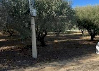 Foto 23 - Rustic VIA DEL VECCHIO FORTE, Alba Adriatica - photo 23