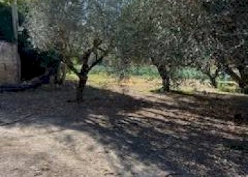 Foto 25 - Rustic VIA DEL VECCHIO FORTE, Alba Adriatica - photo 25