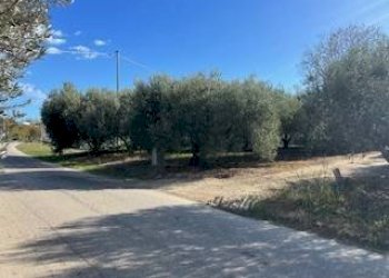 Foto 26 - Rustic VIA DEL VECCHIO FORTE, Alba Adriatica - photo 26