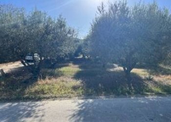 Foto 27 - Rustic VIA DEL VECCHIO FORTE, Alba Adriatica - photo 27