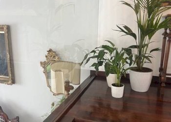 Foto 42 - Villa VIALE MAZZINI
 
63, Alba Adriatica - photo 42