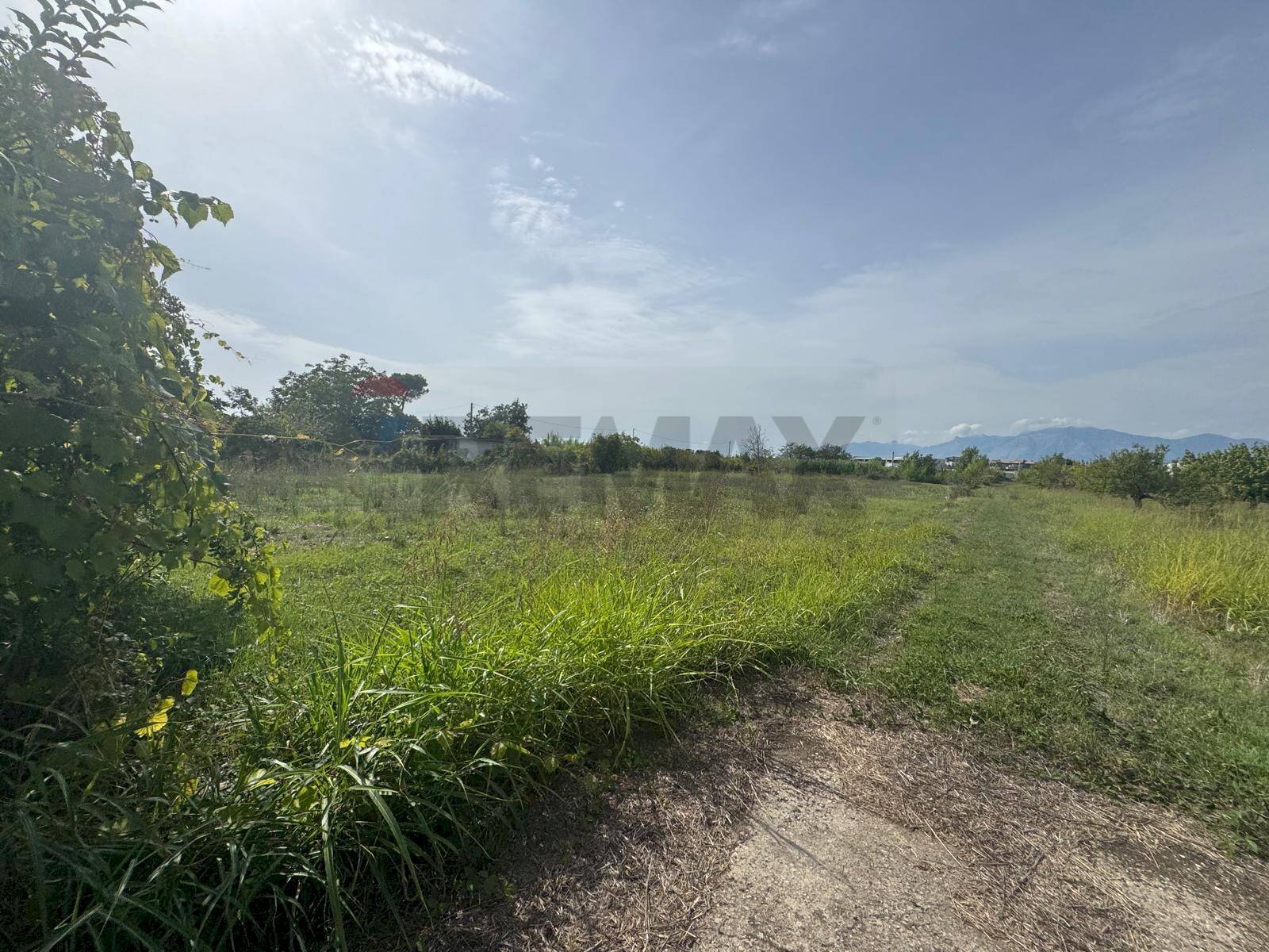 Giardino - Terreno agricolo Cellole - foto 1