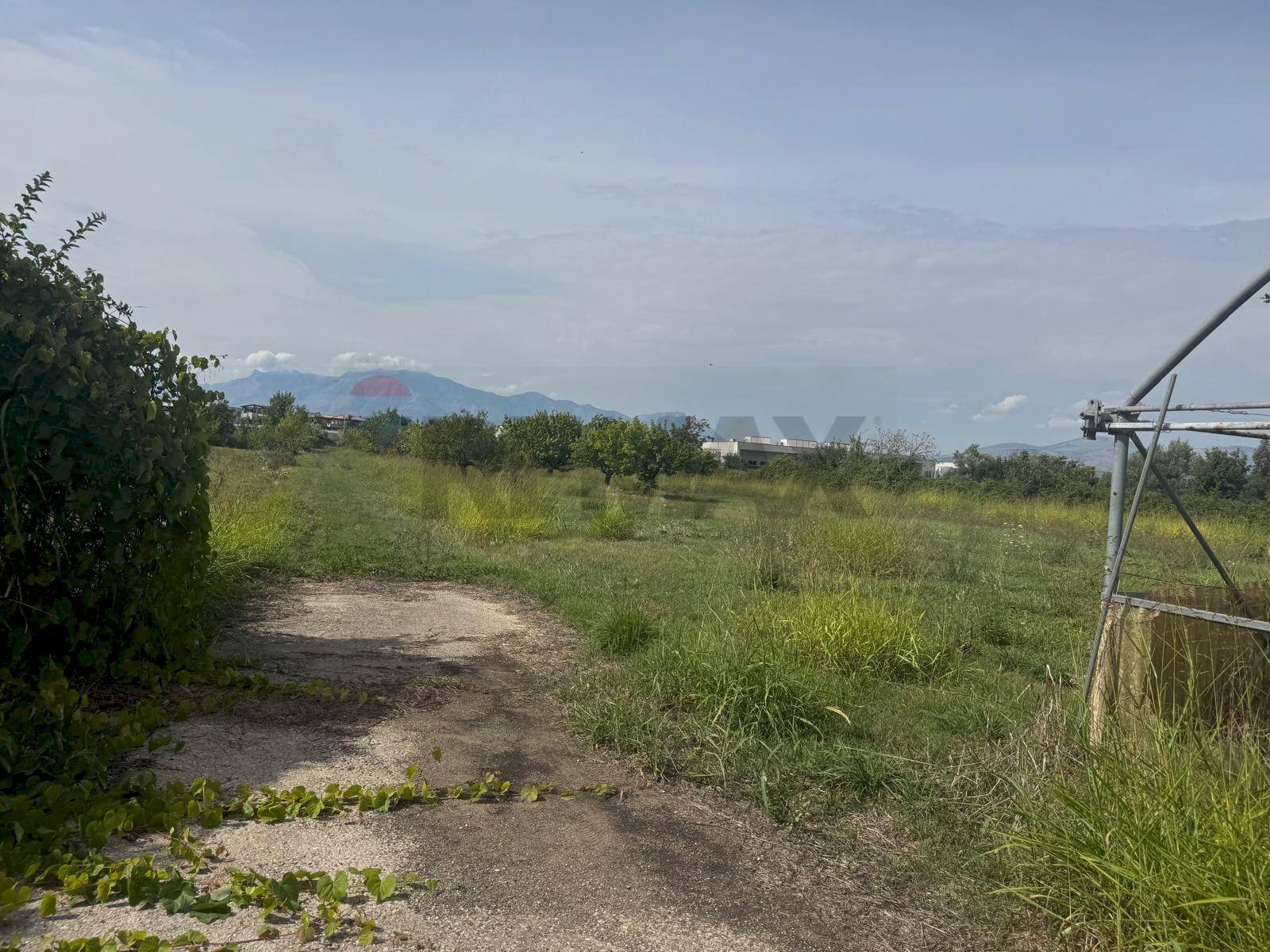 Vista delle montagne - Terreno agricolo Cellole - foto 2