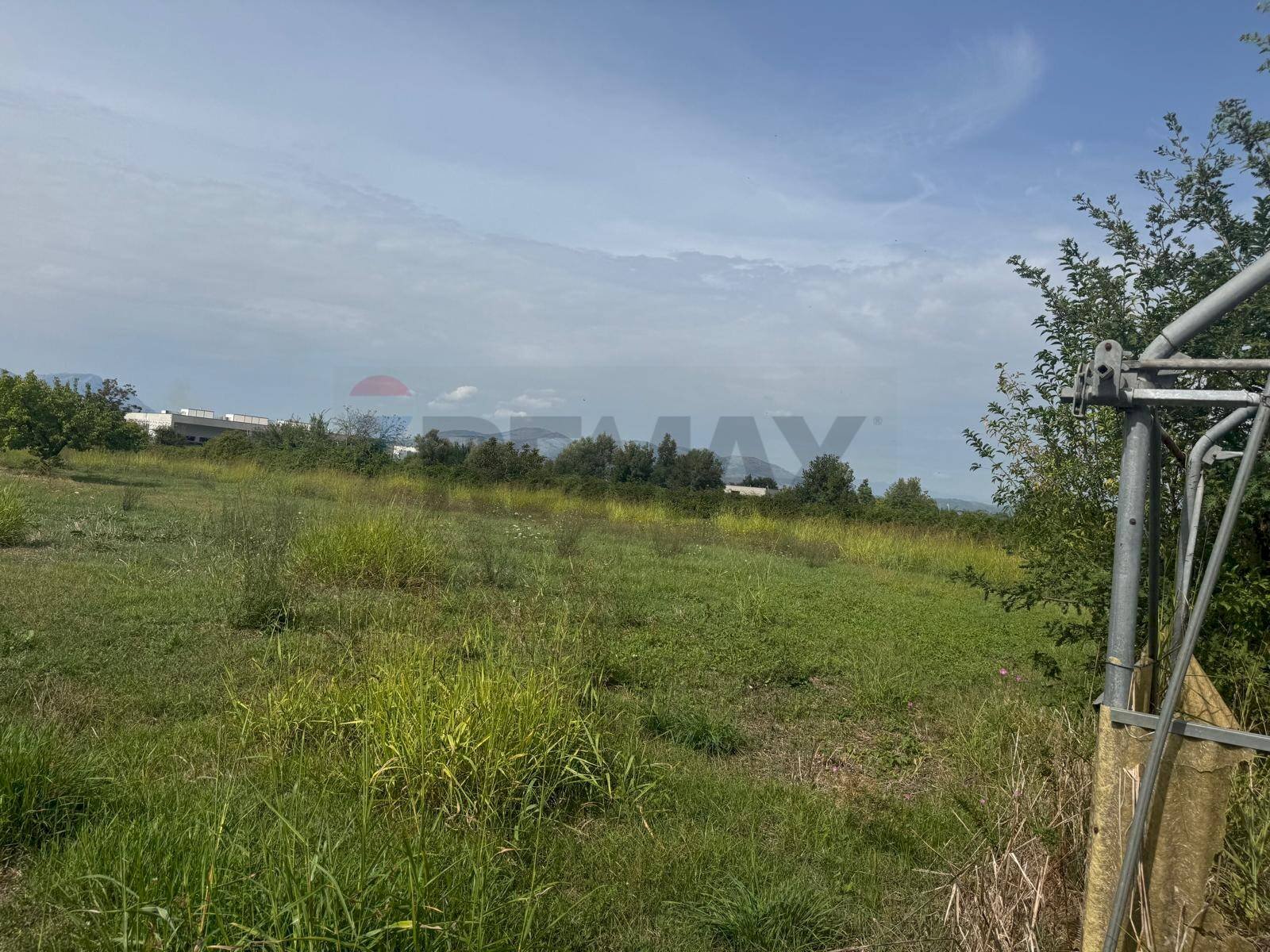 Giardino - Terreno agricolo Cellole - foto 3