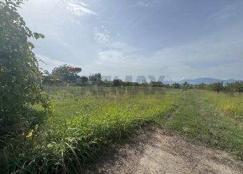 Giardino - Terreno agricolo Cellole - foto 1