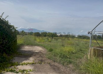 Vista delle montagne - Terreno agricolo Cellole - foto 2