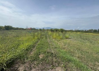 Giardino - Terreno agricolo Cellole - foto 4