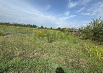 Giardino - Terreno agricolo Cellole - foto 5