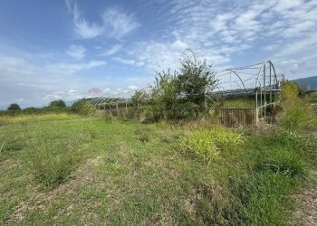 Giardino - Terreno agricolo Cellole - foto 6