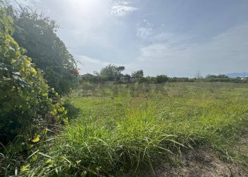 Giardino - Terreno agricolo Cellole - foto 8