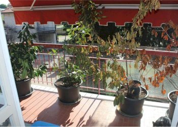 terrazzo - Three-room apartment Confalonieri
 
70, Seveso - photo 17