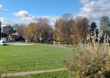 giardino - Two-room apartment Fiume
 
35, Lentate sul Seveso - photo 15