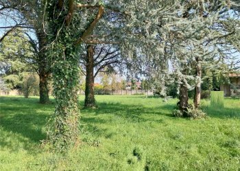 Foto 5 - Terreno edificabile Gorla
 
38, Mozzate - foto 5