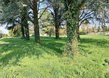 Foto 6 - Terreno edificabile Gorla
 
38, Mozzate - foto 6