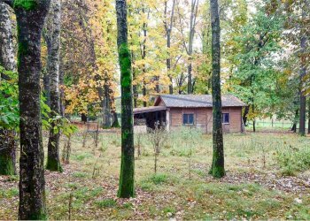 giardino - Villa Mondello di Socco
 
30, Fino Mornasco - photo 16