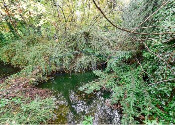 giardino - Villa Mondello di Socco
 
30, Fino Mornasco - photo 18