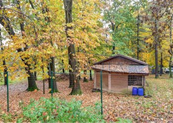 giardino - Villa Mondello di Socco
 
30, Fino Mornasco - photo 27