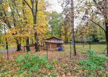 giardino - Villa Mondello di Socco
 
30, Fino Mornasco - photo 28