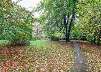 giardino - Villa Mondello di Socco
 
30, Fino Mornasco - photo 31